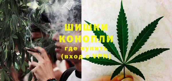 гашик Новодвинск