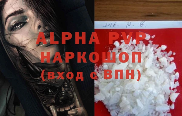 таблы Новозыбков