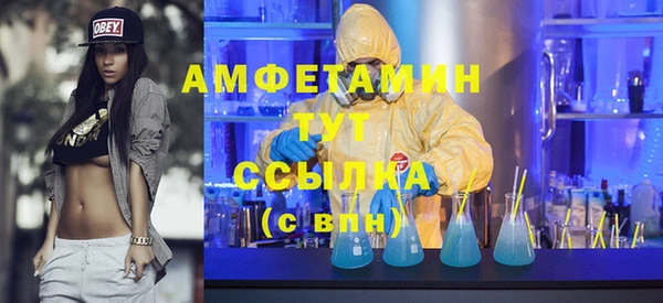 гашик Новодвинск