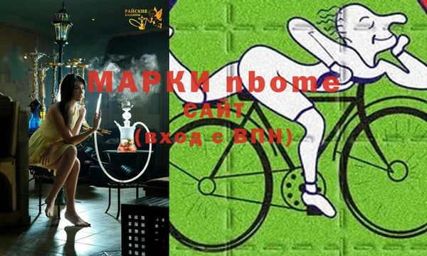 таблы Новозыбков