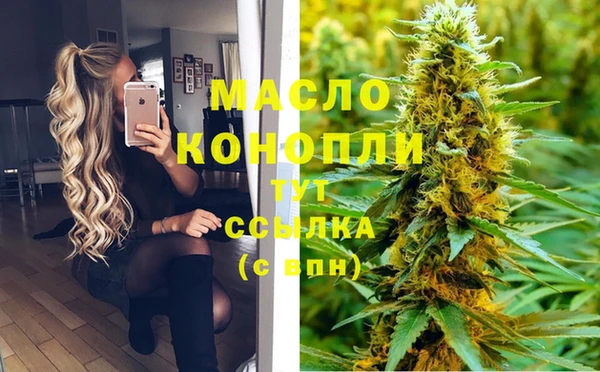 гашик Новодвинск
