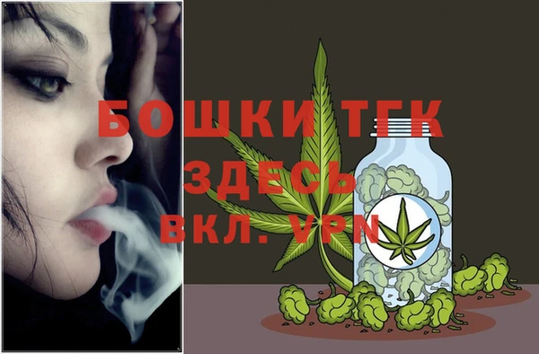 гашик Новодвинск