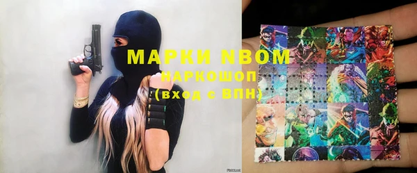 гашик Новодвинск
